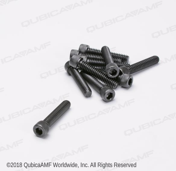 810249200BG Винт 1/4-20 x 1 1/4 Scr SOC Bag/10