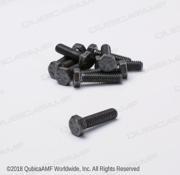 809857205BG Винт 5/16-18 х 1 1/4 Scr Hx Bag/10
