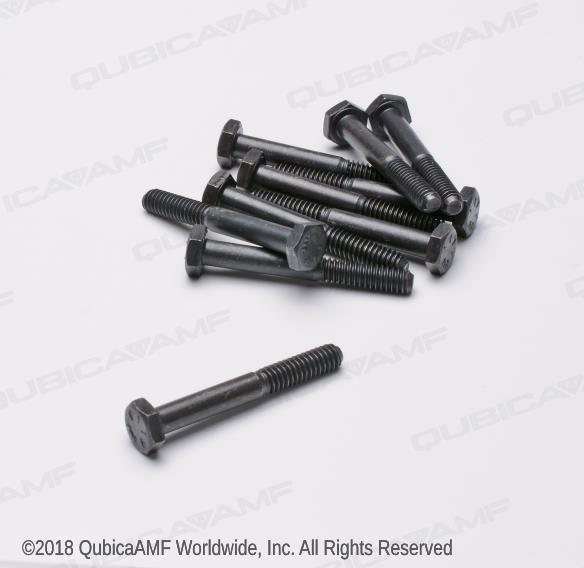 809849325BG 1/4-20 x 2 Screw Hx Bag/10