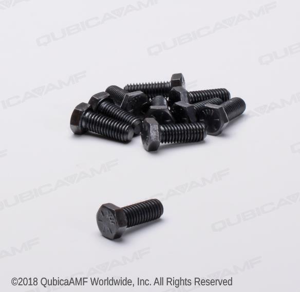 809865165BG Болт 3/8-16 x 1 Scr HHC Bag/10