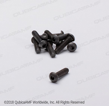 808549160BG Винт 1/4-20 x 1 Scr SOBT Bag/10