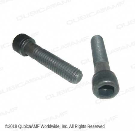 810265280 Винт 3/8-16 x1 3/4 Scr SOC Bag/10