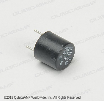 294115366  2A Subminature Fuse