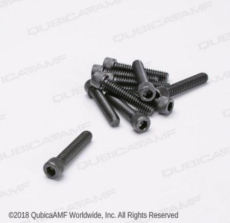 810249200BG Винт 1/4-20 x 1 1/4 Scr SOC Bag/10