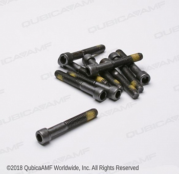 810365401BG Винт 3/8-16 x 2.5 Scr SHC Lk Bag/10