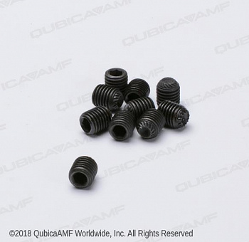 807358060BG Болт 5/16-24 x3/8 KScr STSO Bg/10