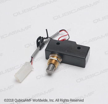 294116202 Переключатель блокировки  Asm Switch Interlock
