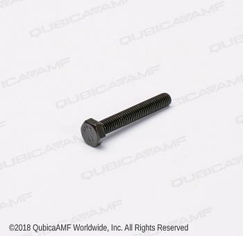 709013069 SCREW M6 x 4