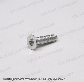 294115516 Винт Screw 10-24 x 3/4 Torx FHTT