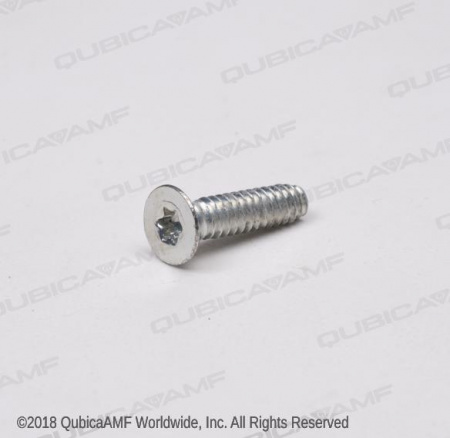 294115516 Винт Screw 10-24 x 3/4 Torx FHTT