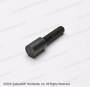 A0463  Positive Stop Screw