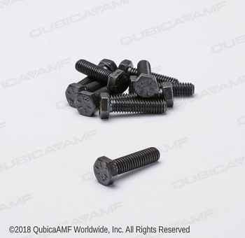 809857205BG Винт 5/16-18 х 1 1/4 Scr Hx Bag/10
