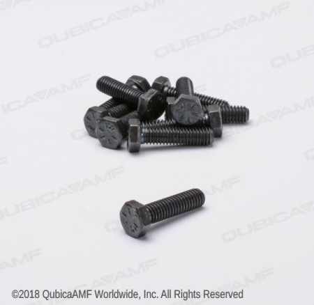 809857205BG Винт 5/16-18 х 1 1/4 Scr Hx Bag/10