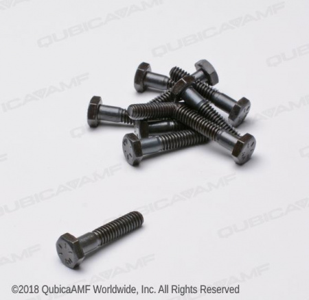809849205BG Винт SCR-HX 1/4-20X1 1/4