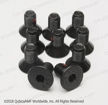 000025662BG Болт вала ковра M62F Screw Nylok Bag/10