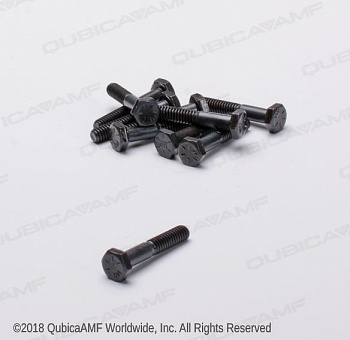 809849245BG  1/4-20 x 1 1/2 Scr Hx Bag/10