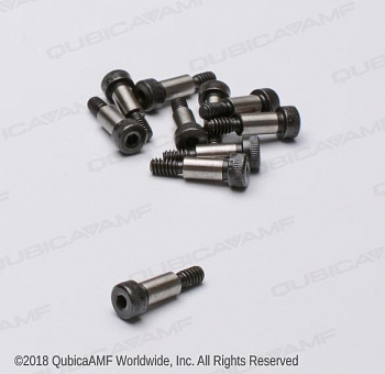 880239140BG  #10-24x1/4x1/2 Scr Shld Bag/10